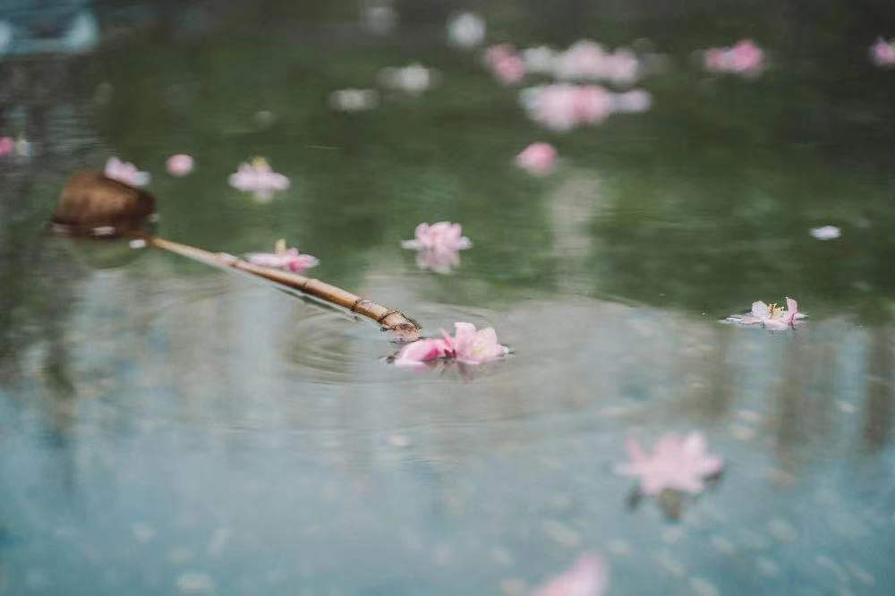 1641606208425_.pic.jpg 1641606208425_.pic.jpg