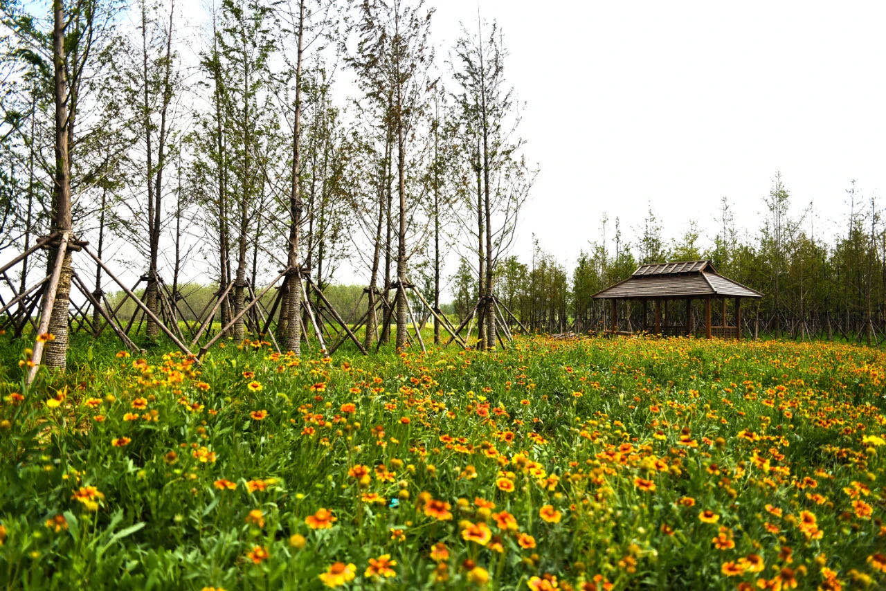 1671606208485_.pic_hd.jpg 1671606208485_.pic_hd.jpg