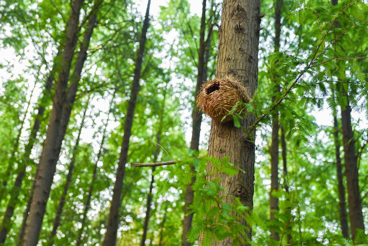 1751606208572_.pic_hd.jpg 1751606208572_.pic_hd.jpg